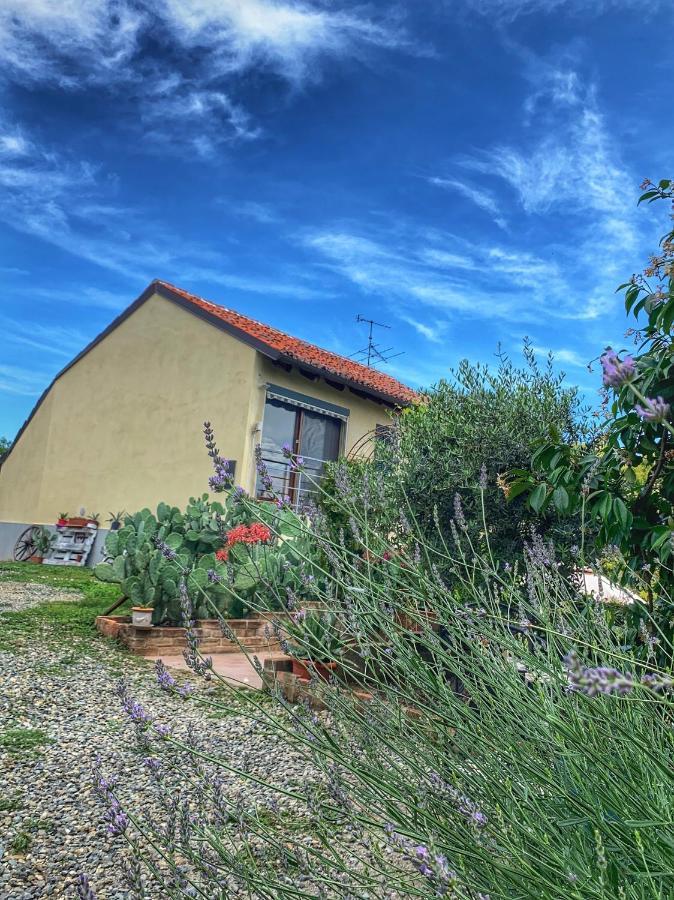 Ca' Degli Ovi B&B Valenza Luaran gambar