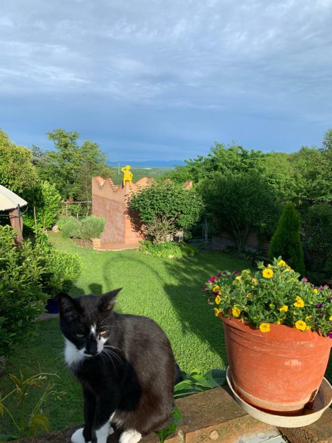 Ca' Degli Ovi B&B Valenza Luaran gambar