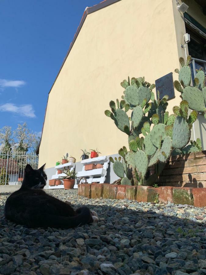 Ca' Degli Ovi B&B Valenza Luaran gambar