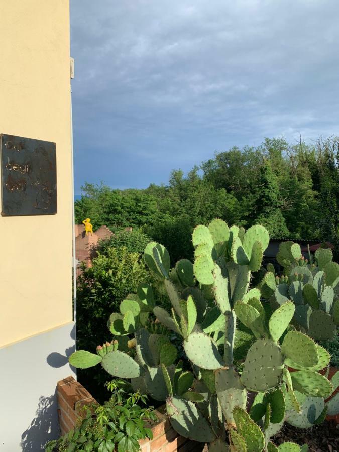 Ca' Degli Ovi B&B Valenza Luaran gambar